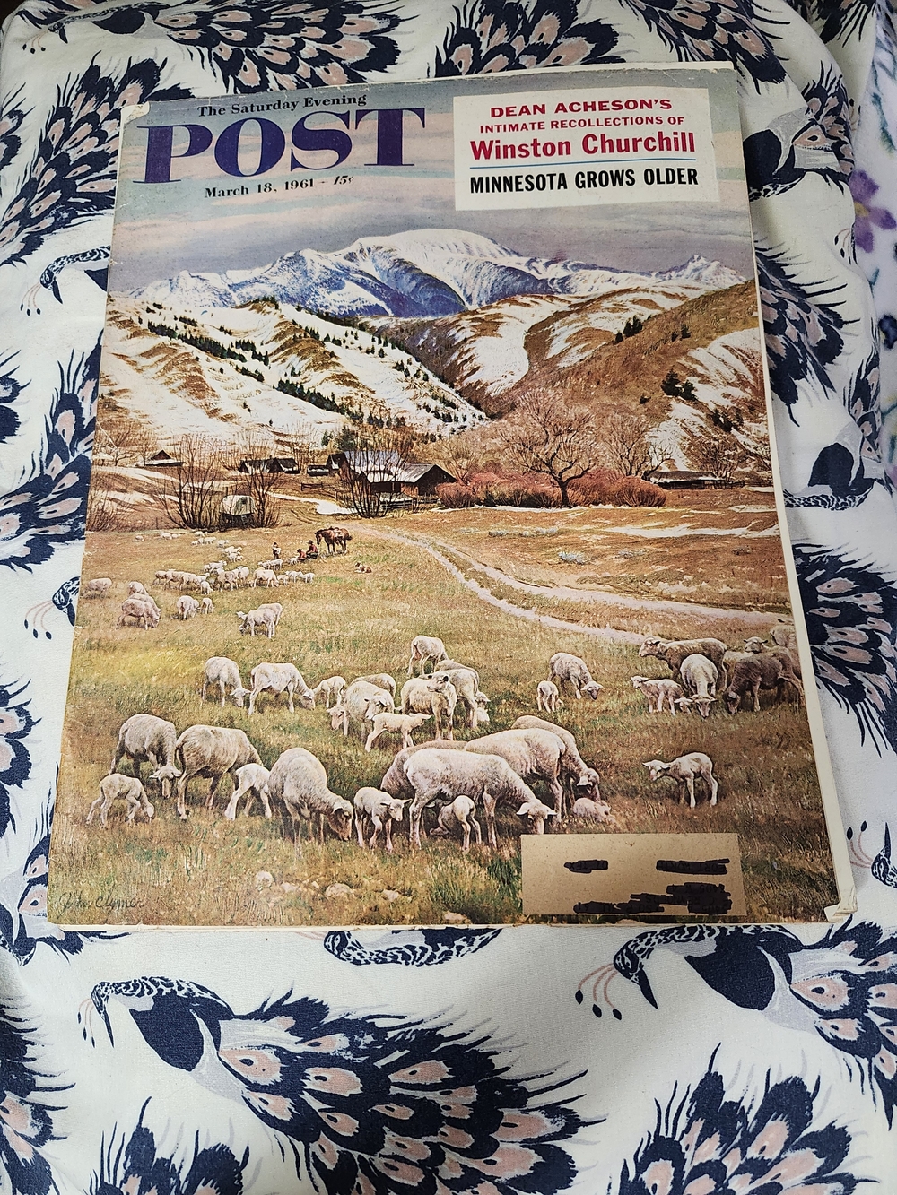 Vintage March 18, 1961 The Saturday Evening Post-Cover Art Titled "Sheep Ranch"
